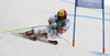 Marcel Hirscher of Austria skiing in first run of men giant slalom race of FIS Alpine skiing World Championships in Schladming, Austria. Men giant slalom race of FIS Alpine skiing World championships Schladming 2013, was held in Schladming, Austria, on Friday, 15th of February 2013.
