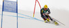 Ivica Kostelic of Croatia skiing in first run of men giant slalom race of FIS Alpine skiing World Championships in Schladming, Austria. Men giant slalom race of FIS Alpine skiing World championships Schladming 2013, was held in Schladming, Austria, on Friday, 15th of February 2013.
