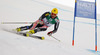 Ivica Kostelic of Croatia skiing in first run of men giant slalom race of FIS Alpine skiing World Championships in Schladming, Austria. Men giant slalom race of FIS Alpine skiing World championships Schladming 2013, was held in Schladming, Austria, on Friday, 15th of February 2013.
