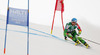 Marcus Sandell of Finland skiing in first run of men giant slalom race of FIS Alpine skiing World Championships in Schladming, Austria. Men giant slalom race of FIS Alpine skiing World championships Schladming 2013, was held in Schladming, Austria, on Friday, 15th of February 2013.
