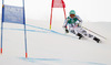 Felix Neureuther of Germany skiing in first run of men giant slalom race of FIS Alpine skiing World Championships in Schladming, Austria. Men giant slalom race of FIS Alpine skiing World championships Schladming 2013, was held in Schladming, Austria, on Friday, 15th of February 2013.
