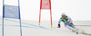 Marcel Mathis of Austria skiing in first run of men giant slalom race of FIS Alpine skiing World Championships in Schladming, Austria. Men giant slalom race of FIS Alpine skiing World championships Schladming 2013, was held in Schladming, Austria, on Friday, 15th of February 2013.
