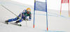 Andre Myhrer of Sweden skiing in first run of men giant slalom race of FIS Alpine skiing World Championships in Schladming, Austria. Men giant slalom race of FIS Alpine skiing World championships Schladming 2013, was held in Schladming, Austria, on Friday, 15th of February 2013.
