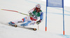 Didier Defago of Switzerland skiing in first run of men giant slalom race of FIS Alpine skiing World Championships in Schladming, Austria. Men giant slalom race of FIS Alpine skiing World championships Schladming 2013, was held in Schladming, Austria, on Friday, 15th of February 2013.
