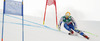 Matts Olsson of Sweden skiing in first run of men giant slalom race of FIS Alpine skiing World Championships in Schladming, Austria. Men giant slalom race of FIS Alpine skiing World championships Schladming 2013, was held in Schladming, Austria, on Friday, 15th of February 2013.
