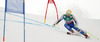 Matts Olsson of Sweden skiing in first run of men giant slalom race of FIS Alpine skiing World Championships in Schladming, Austria. Men giant slalom race of FIS Alpine skiing World championships Schladming 2013, was held in Schladming, Austria, on Friday, 15th of February 2013.
