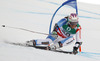 Marc Berthod of Switzerland skiing in first run of men giant slalom race of FIS Alpine skiing World Championships in Schladming, Austria. Men giant slalom race of FIS Alpine skiing World championships Schladming 2013, was held in Schladming, Austria, on Friday, 15th of February 2013.
