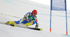 Janez Jazbec of Slovenia skiing in first run of men giant slalom race of FIS Alpine skiing World Championships in Schladming, Austria. Men giant slalom race of FIS Alpine skiing World championships Schladming 2013, was held in Schladming, Austria, on Friday, 15th of February 2013.
