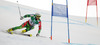 Samu Torsti of Finland skiing in first run of men giant slalom race of FIS Alpine skiing World Championships in Schladming, Austria. Men giant slalom race of FIS Alpine skiing World championships Schladming 2013, was held in Schladming, Austria, on Friday, 15th of February 2013.
