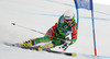 Samu Torsti of Finland skiing in first run of men giant slalom race of FIS Alpine skiing World Championships in Schladming, Austria. Men giant slalom race of FIS Alpine skiing World championships Schladming 2013, was held in Schladming, Austria, on Friday, 15th of February 2013.

