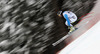 Stephan Keppler of Germany skiing in second training for men downhill race of FIS Alpine skiing World Cup in Garmisch-Partenkirchen, Germany. Second training for men downhill race of FIS Alpine skiing World Cup in Garmisch-Partenkirchen, Germany, was held on Friday, 22nd of February 2013.
