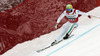 Dominik Paris of Italy skiing in second training for men downhill race of FIS Alpine skiing World Cup in Garmisch-Partenkirchen, Germany. Second training for men downhill race of FIS Alpine skiing World Cup in Garmisch-Partenkirchen, Germany, was held on Friday, 22nd of February 2013.
