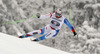 Silvan Zurbriggen of Switzerland skiing in men downhill race of FIS Alpine skiing World Cup in Garmisch-Partenkirchen, Germany. Men downhill race of FIS Alpine skiing World Cup in Garmisch-Partenkirchen, Germany, was held on Saturday, 23rd of February 2013.
