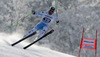 Fourth placed Hannes Reichelt of Austria skiing in men downhill race of FIS Alpine skiing World Cup in Garmisch-Partenkirchen, Germany. Men downhill race of FIS Alpine skiing World Cup in Garmisch-Partenkirchen, Germany, was held on Saturday, 23rd of February 2013.
