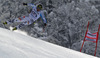 Marvin Ackermann of Germany skiing in men downhill race of FIS Alpine skiing World Cup in Garmisch-Partenkirchen, Germany. Men downhill race of FIS Alpine skiing World Cup in Garmisch-Partenkirchen, Germany, was held on Saturday, 23rd of February 2013.
