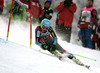 Ted Ligety of USA skiing in first run of men giant slalom race of FIS Alpine skiing World Cup in Garmisch-Partenkirchen, Germany. Men giant slalom race of FIS Alpine skiing World Cup in Garmisch-Partenkirchen, Germany, was held on Sunday, 24th of February 2013.
