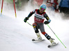 Ted Ligety of USA skiing in first run of men giant slalom race of FIS Alpine skiing World Cup in Garmisch-Partenkirchen, Germany. Men giant slalom race of FIS Alpine skiing World Cup in Garmisch-Partenkirchen, Germany, was held on Sunday, 24th of February 2013.
