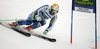 Matts Olsson of Sweden skiing in first run of men giant slalom race of FIS Alpine skiing World Cup in Garmisch-Partenkirchen, Germany. Men giant slalom race of FIS Alpine skiing World Cup in Garmisch-Partenkirchen, Germany, was held on Sunday, 24th of February 2013.
