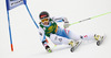 Elisabeth Goergl of Austria skiing in first run of women giant slalom race of FIS Alpine skiing World Cup in Ofterschwang, Germany. Women giant slalom race of FIS Alpine skiing World Cup in Ofterschwang, Germany, was held on Saturday, 9th of March 2013.

