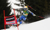 Frida Hansdotter of Sweden skiing in first run of women giant slalom race of FIS Alpine skiing World Cup in Ofterschwang, Germany. Women giant slalom race of FIS Alpine skiing World Cup in Ofterschwang, Germany, was held on Saturday, 9th of March 2013.
