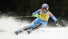 Tina Maze of Slovenia skiing in first run of women slalom race of FIS Alpine skiing World Cup in Ofterschwang, Germany. Women slalom race of FIS Alpine skiing World Cup in Ofterschwang, Germany, was held on Sunday, 10th of March 2013.
