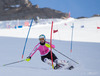 Susanne Riesch in action during the media day of German Ski Federation DSV at Moelltaler glacier in Flattach, Austria on 2013/10/07.
