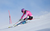 Maria Hoefl Riesch during the media day of German Ski Federation DSV at Moelltaler glacier in Flattach, Austria on 2013/10/07.
