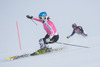 Veronique Hronek in action during the media day of German Ski Federation DSV at Moelltaler glacier in Flattach, Austria on 2013/10/07.
