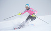 Susanne Riesch in action during the media day of German Ski Federation DSV at Moelltaler glacier in Flattach, Austria on 2013/10/07.
