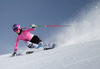 Maria Hoefl Riesch during the media day of German Ski Federation DSV at Moelltaler glacier in Flattach, Austria on 2013/10/07.
