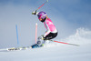 Maria Hoefl Riesch during the media day of German Ski Federation DSV at Moelltaler glacier in Flattach, Austria on 2013/10/07.
