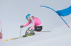 Veronique Hronek in action during the media day of German Ski Federation DSV at Moelltaler glacier in Flattach, Austria on 2013/10/07.
