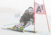 Christoph Nosig  in action during the media day of Austrian Ski Federation OeSV at Moelltaler glacier in Flattach, Austria on 2013/10/08.
