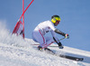 Romed Baumann of Austria during Ski Austria Team internal qualification prior to the FIS Ski Alpine Worldcup opening at Rettenbach Glacier, Soelden, Austria on 2012/10/19.
