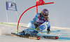 Tina Maze of Slovenia skiing during first run of Audi FIS Alpine skiing World cup giant slalom race. Women giant slalom race of Audi FIS Alpine skiing World cup 2013-2014 was held on Saturday, 26th of October 2013 on Rettenbach glacier above Soelden, Austria.
