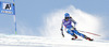 Sara Hector of Sweden skiing during first run of Audi FIS Alpine skiing World cup giant slalom race. Women giant slalom race of Audi FIS Alpine skiing World cup 2013-2014 was held on Saturday, 26th of October 2013 on Rettenbach glacier above Soelden, Austria.
