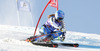 Sara Hector of Sweden skiing during first run of Audi FIS Alpine skiing World cup giant slalom race. Women giant slalom race of Audi FIS Alpine skiing World cup 2013-2014 was held on Saturday, 26th of October 2013 on Rettenbach glacier above Soelden, Austria.
