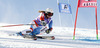 Fabienne Suter of Switzerland skiing during first run of Audi FIS Alpine skiing World cup giant slalom race. Women giant slalom race of Audi FIS Alpine skiing World cup 2013-2014 was held on Saturday, 26th of October 2013 on Rettenbach glacier above Soelden, Austria.
