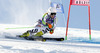Simona Hoesl of Germany skiing during first run of Audi FIS Alpine skiing World cup giant slalom race. Women giant slalom race of Audi FIS Alpine skiing World cup 2013-2014 was held on Saturday, 26th of October 2013 on Rettenbach glacier above Soelden, Austria.
