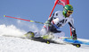 Philipp Schoerghofer of Austria skiing during first run of men Audi FIS Alpine skiing World cup giant slalom race. Men giant slalom race of Audi FIS Alpine skiing World cup 2013-2014 was held on Sunday, 27th of October 2013 on Rettenbach glacier above Soelden, Austria.
