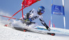 Benjamin Raich of Austria skiing during first run of men Audi FIS Alpine skiing World cup giant slalom race. Men giant slalom race of Audi FIS Alpine skiing World cup 2013-2014 was held on Sunday, 27th of October 2013 on Rettenbach glacier above Soelden, Austria.
