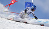 Benjamin Raich of Austria skiing during first run of men Audi FIS Alpine skiing World cup giant slalom race. Men giant slalom race of Audi FIS Alpine skiing World cup 2013-2014 was held on Sunday, 27th of October 2013 on Rettenbach glacier above Soelden, Austria.
