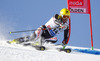 Ivica Kostelic of Croatia skiing during first run of men Audi FIS Alpine skiing World cup giant slalom race. Men giant slalom race of Audi FIS Alpine skiing World cup 2013-2014 was held on Sunday, 27th of October 2013 on Rettenbach glacier above Soelden, Austria.

