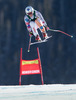 Tina Weirather of Lichtenstein in action during the ladies Downhill of the Beaver Creek FIS Ski Alpine World Cup at the Birds of Prey Raptor in Beaver Creek, United States on 2012/11/29.
