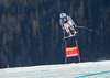 Tina Weirather of Lichtenstein in action during the ladies Downhill of the Beaver Creek FIS Ski Alpine World Cup at the Birds of Prey Raptor in Beaver Creek, United States on 2012/11/29.
