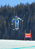 Tina Maze of Slovenia in action during the ladies Downhill of the Beaver Creek FIS Ski Alpine World Cup at the Birds of Prey Raptor in Beaver Creek, United States on 2012/11/29.
