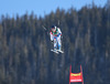 Dominique Gisin of Switzerland in action during the ladies Downhill of the Beaver Creek FIS Ski Alpine World Cup at the Birds of Prey Raptor in Beaver Creek, United States on 2012/11/29.
