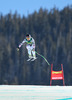Elisabeth Goergl of Austria in action during the ladies Downhill of the Beaver Creek FIS Ski Alpine World Cup at the Birds of Prey Raptor in Beaver Creek, United States on 2012/11/29.
