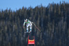 Michaela Wenig of Germany in action during the ladies Downhill of the Beaver Creek FIS Ski Alpine World Cup at the Birds of Prey Raptor in Beaver Creek, United States on 2012/11/29.
