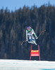 Maria Hoefl-Riesch of Germany in action during the ladies Downhill of the Beaver Creek FIS Ski Alpine World Cup at the Birds of Prey Raptor in Beaver Creek, United States on 2012/11/29.
